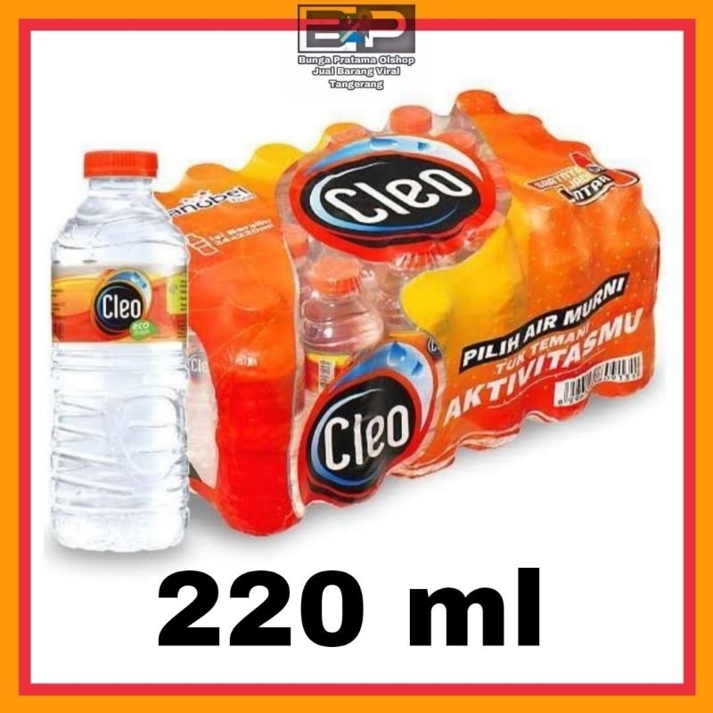 

Cleo air mineral mini 220ml