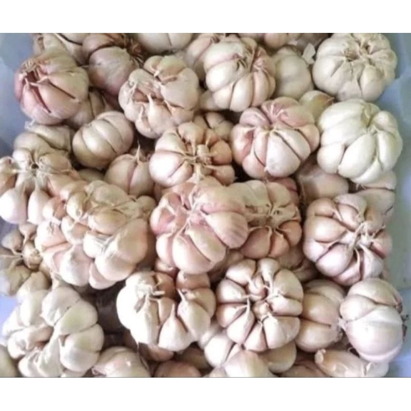 

Bawang putih 1/2 kg 8.000 rb