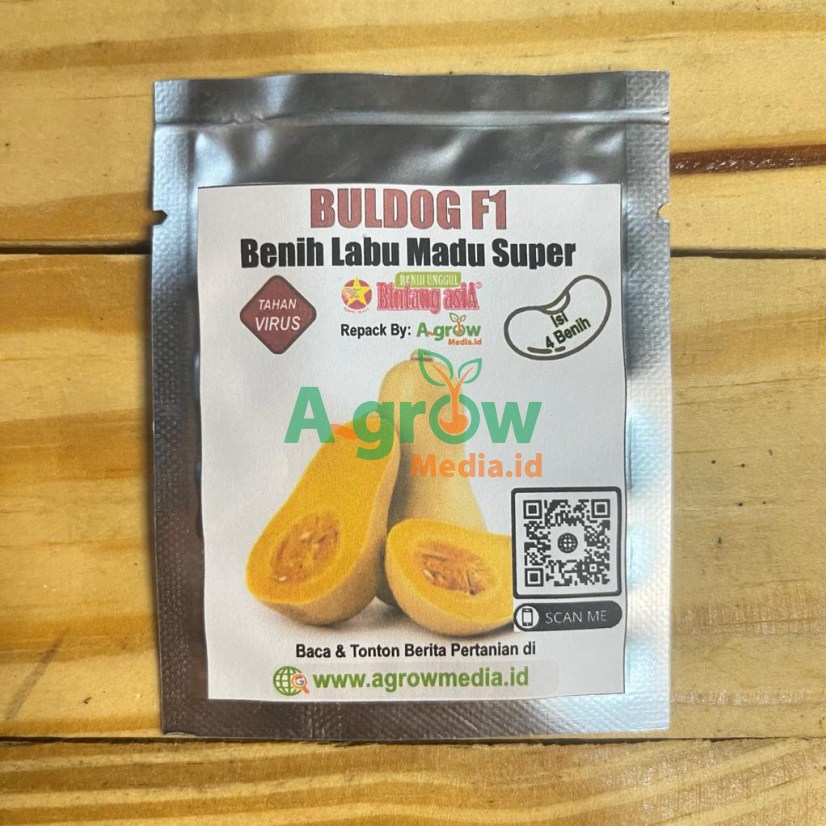4 Benih F1 Labu Madu Butternut BULDOG F1 Bibit Biji Super Unggul Repack Bintang Asia - Agrowmedia