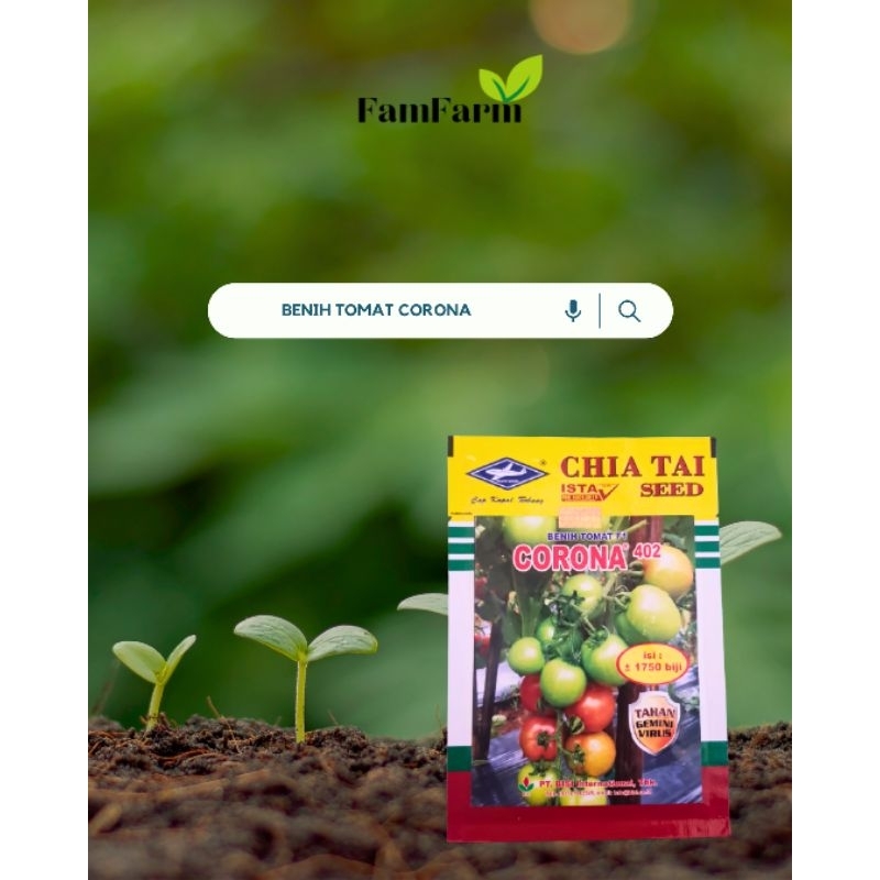 

Tomat Corona [ORIGINAL]