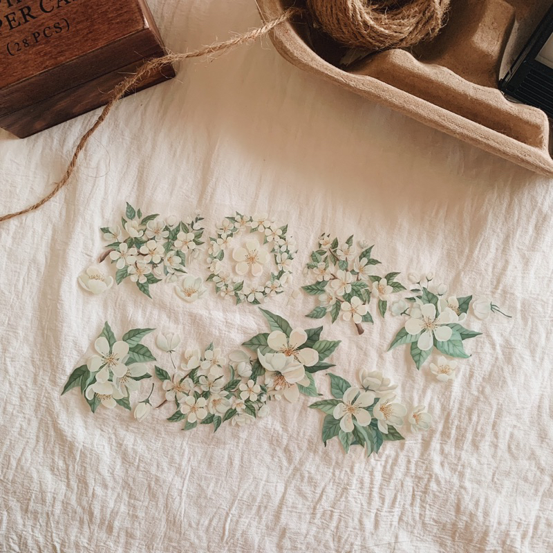 

JOURNALING/SAMPLE WASHI TAPE/GREEN VINTAGE