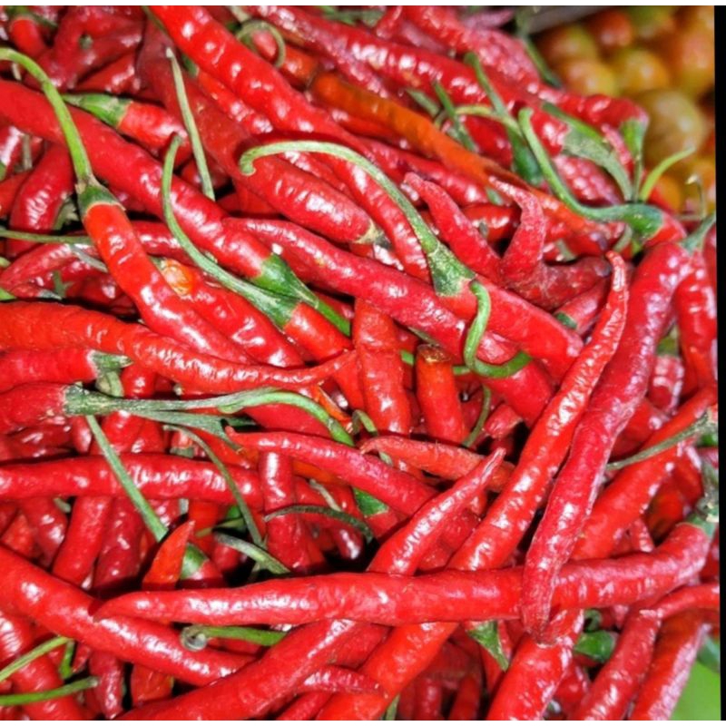 

Cabe Merah keriting/ cabe merah 500g/1000g