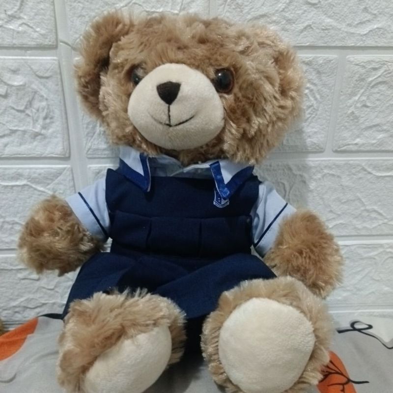 Boneka Teddy Kostum Sekolah