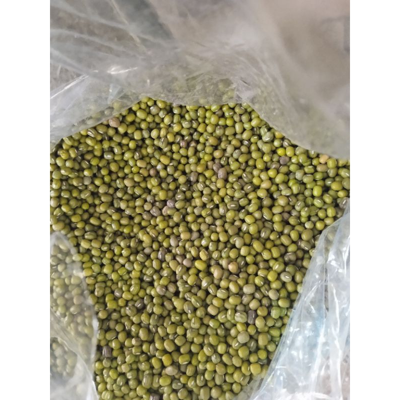 

KACANG HIJAU BERAT BERSIH 1KILO