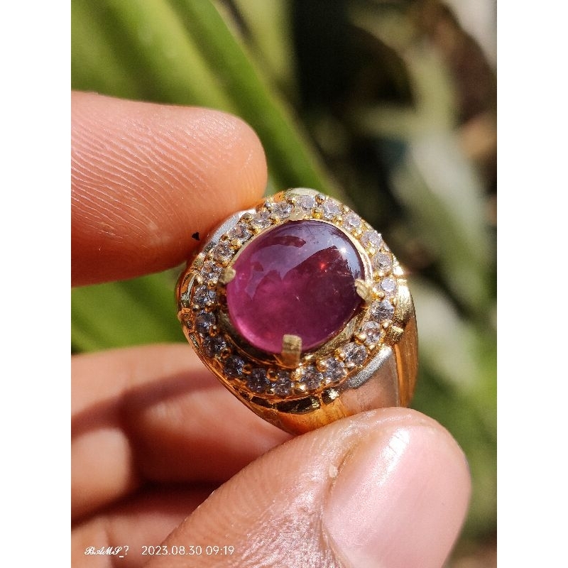 natural Ruby pigeon blood