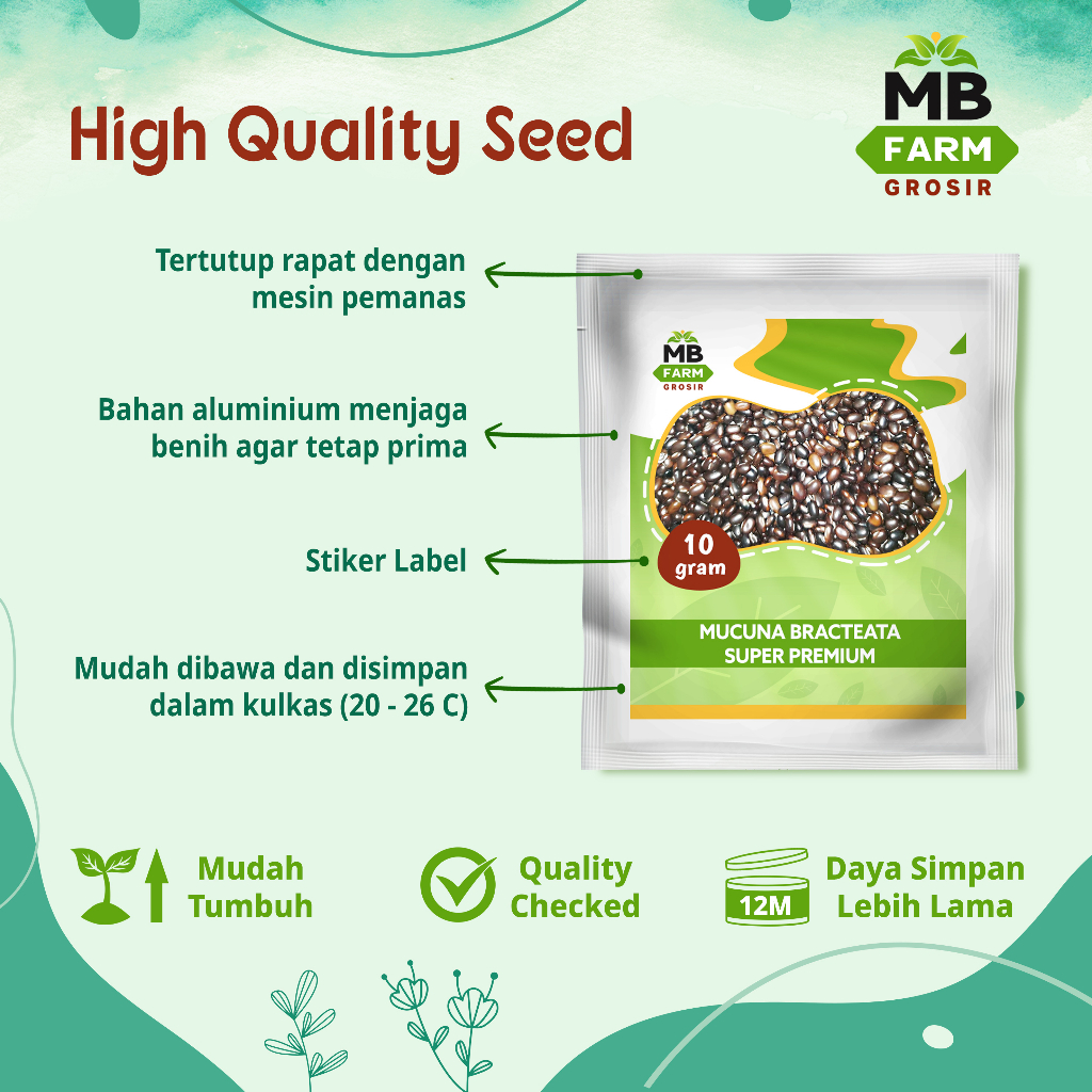Benih mb mucuna premium 10 gram / bibit kacang kacangan mucuna cover crops