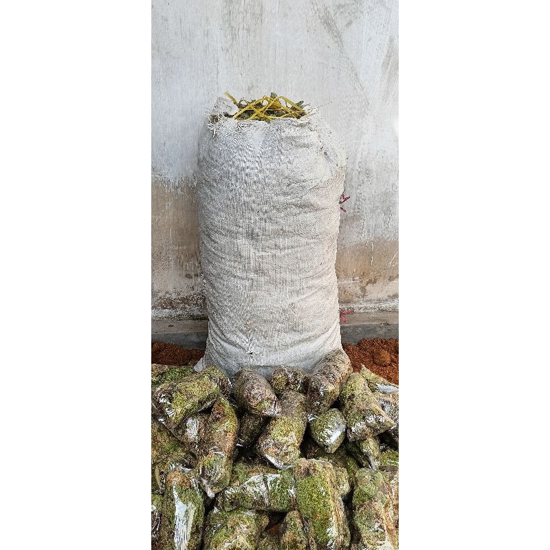 1 karung media tanam spagnum - mos lumut