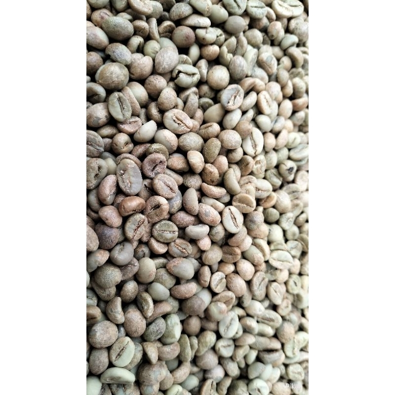 

Kopi Robusta Fine Komersil