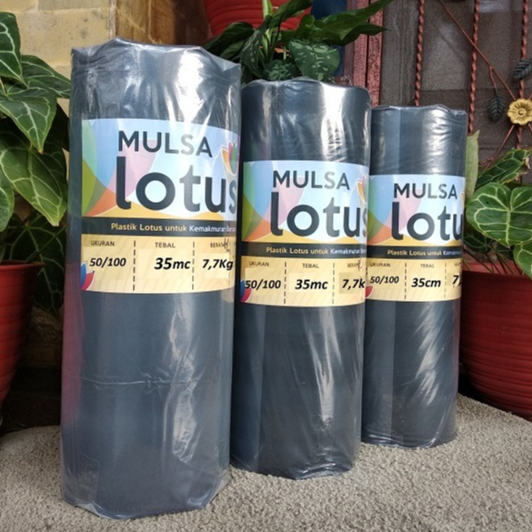 mulsa plastik mulsa hitam perak 1 rol roll lebar 100 cm panjang 250 meter pertanian tanaman meteran 