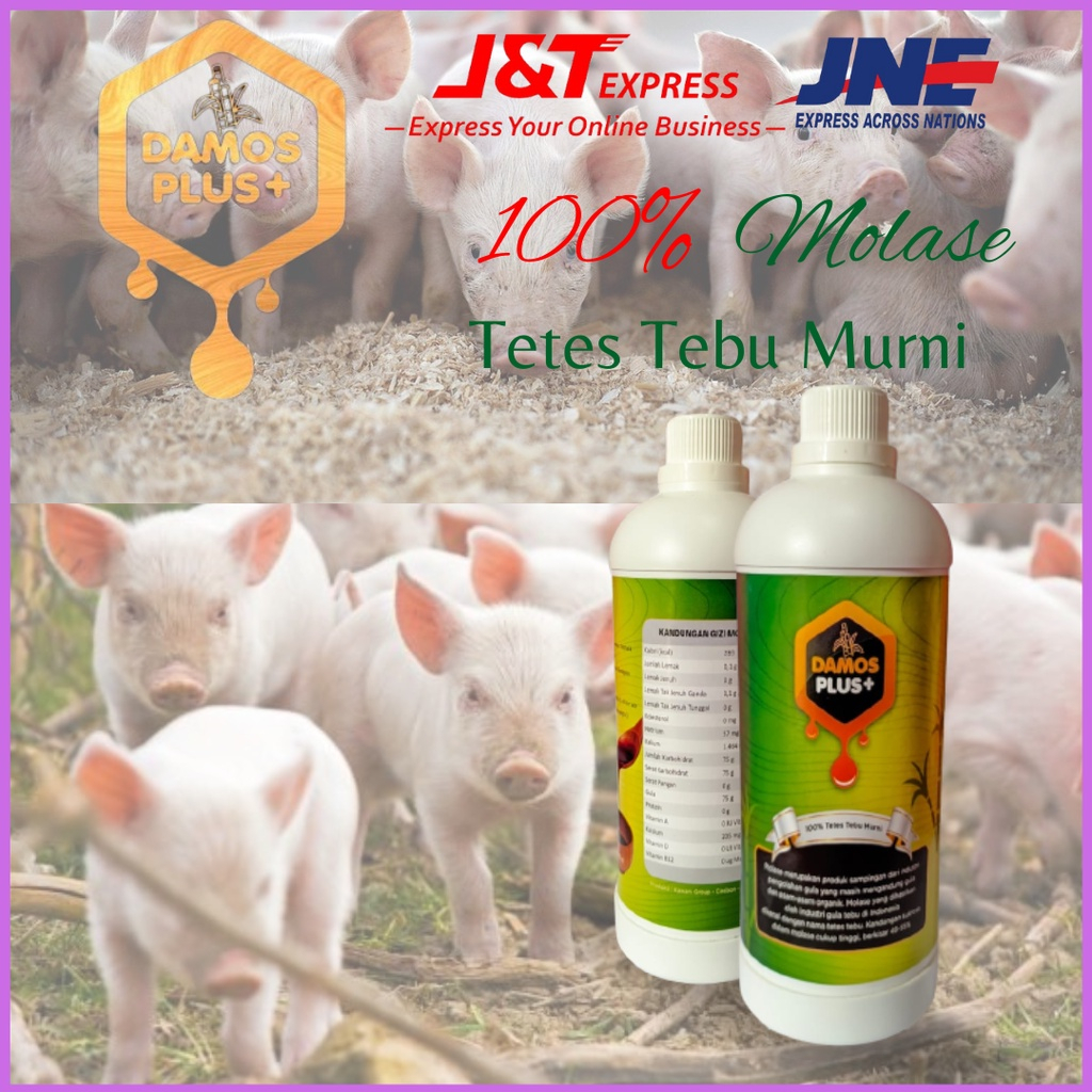 Damos Plus obat penggemuk babi