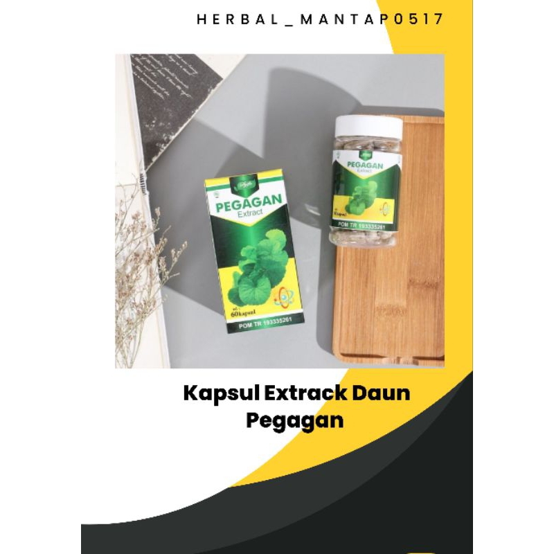 PEGAGAN EXSTRACT 60 KPSL CV SYIFA HERBAL ALAMI