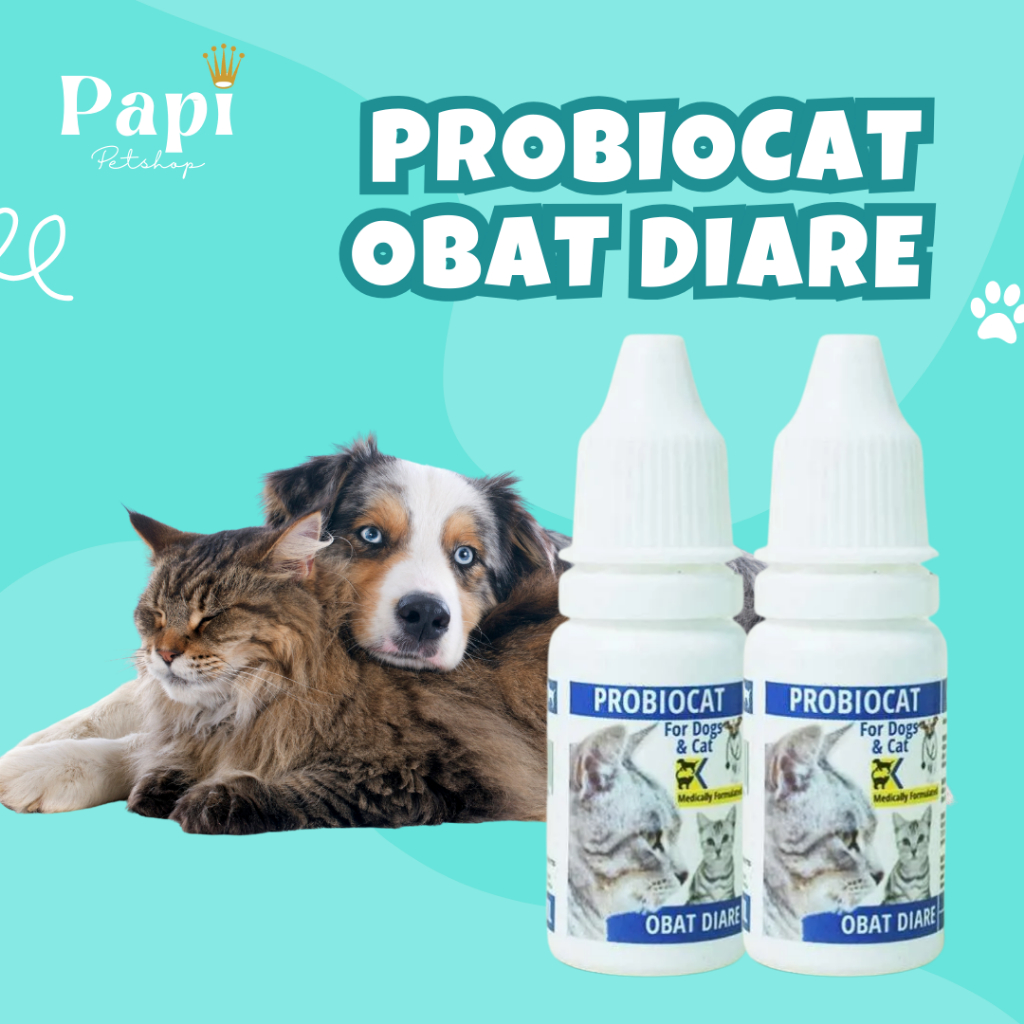 Obat Diare Kucing Obat Berak Darah Kucing Probiocat Alami Original Obat Diare Kucing Paling Ampuh
