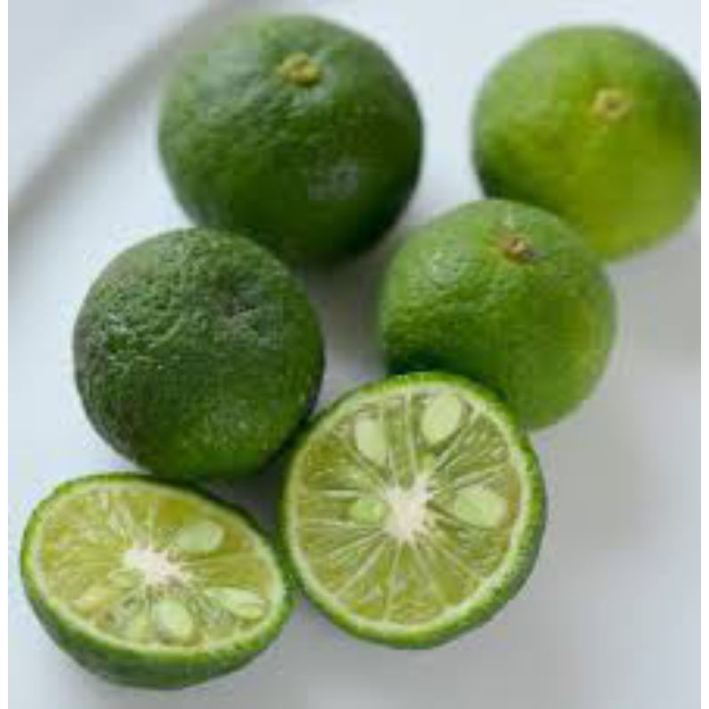 

JERUK NIPIS PURUT/JERUK NIPIS HARUM/PASAR MAKASSAR