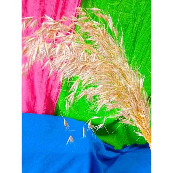 bunga kering / rumput kering / dried flower grass