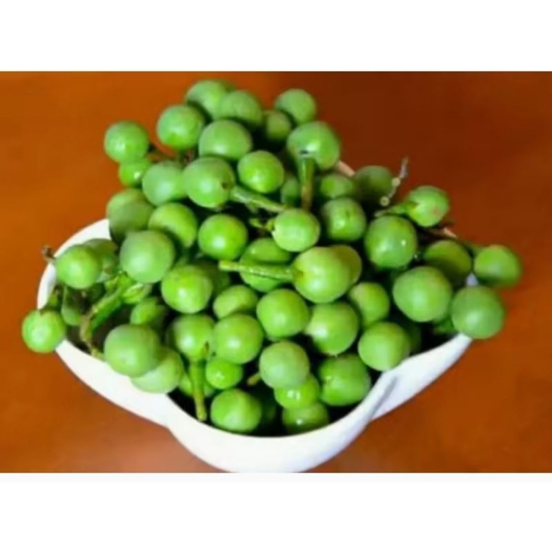 

Buah tekokak segar sayuran / lalapan 250 gr