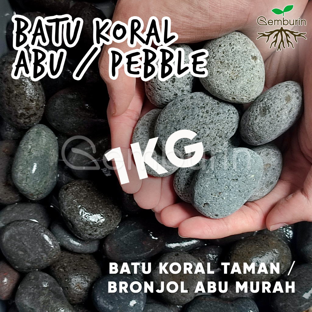 Batu Koral Abu 1 Kg / Pebble Stone / Batu Bronjol Abu Taman / Media Tanam Murah / Hiasan Taman Pot O