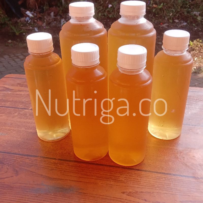 

Kombucha | butterfly pea kombucha| kombucha bunga telang | kombucha organik | teh fermentasi organik | Soda fermentasi rasa bunga telang | homemade kombucha | soda probiotic | malang probiotica