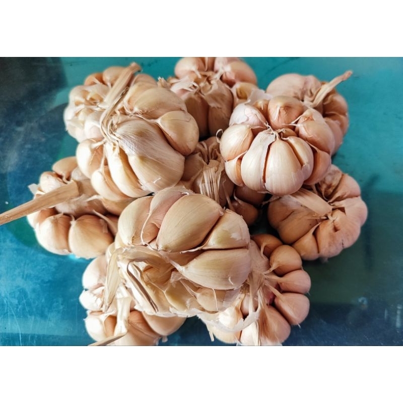 

BAWANG PUTIH ARUNA KIDS