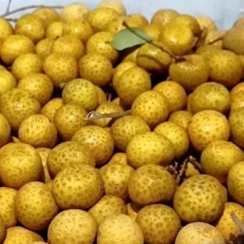 

Buah Lengkeng Kelengkeng Fresh Manis