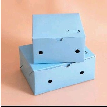 

RK Dus Snack Kotak Kue Makanan Kecil Warna 16x12x7 ( 100 pcs )