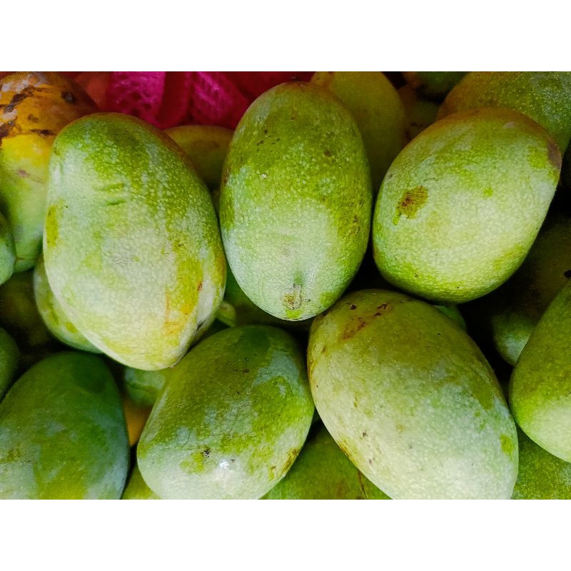 

MANGGA MANALAGI 1 KG MANGGA
