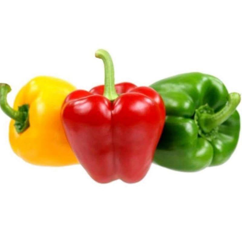 

[SATUAN] Paprika Fresh