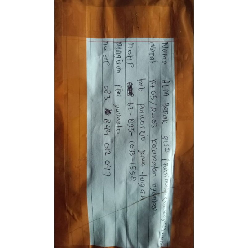 clypearis jawa super