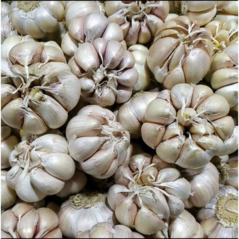 

Bawang Putih ½kg