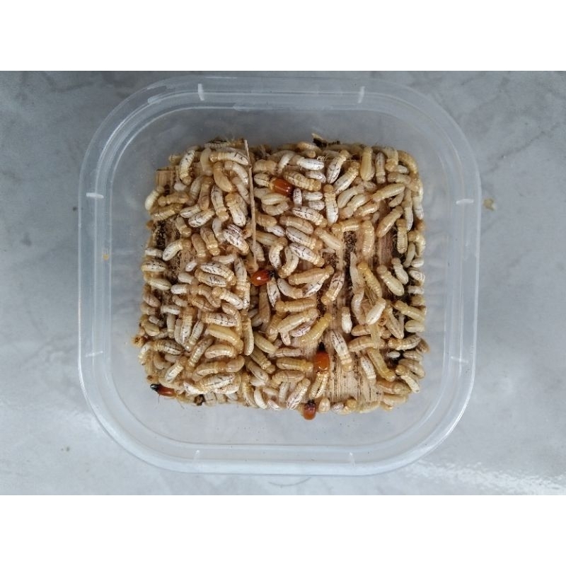 warangas/pua/poa/rengas kemasan 250ml