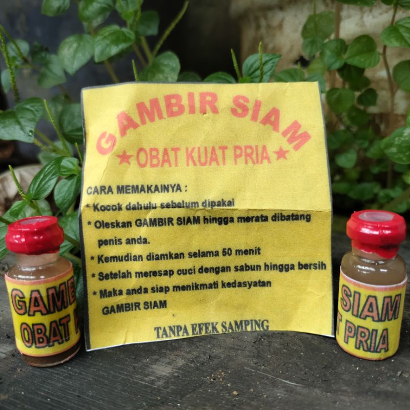 gambir siam cair 100% asli original
