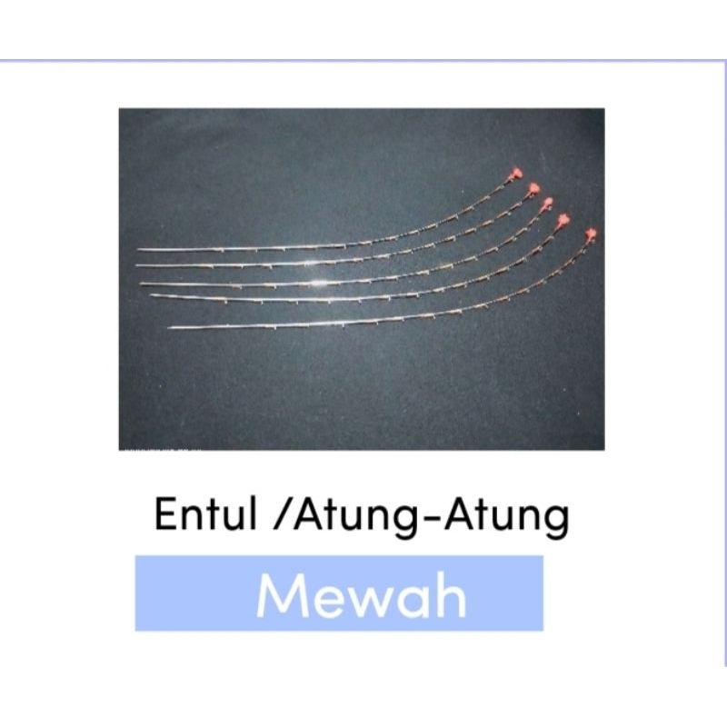 Entul Pancing Atung-atung Bahan Fuji Sensitif Murah