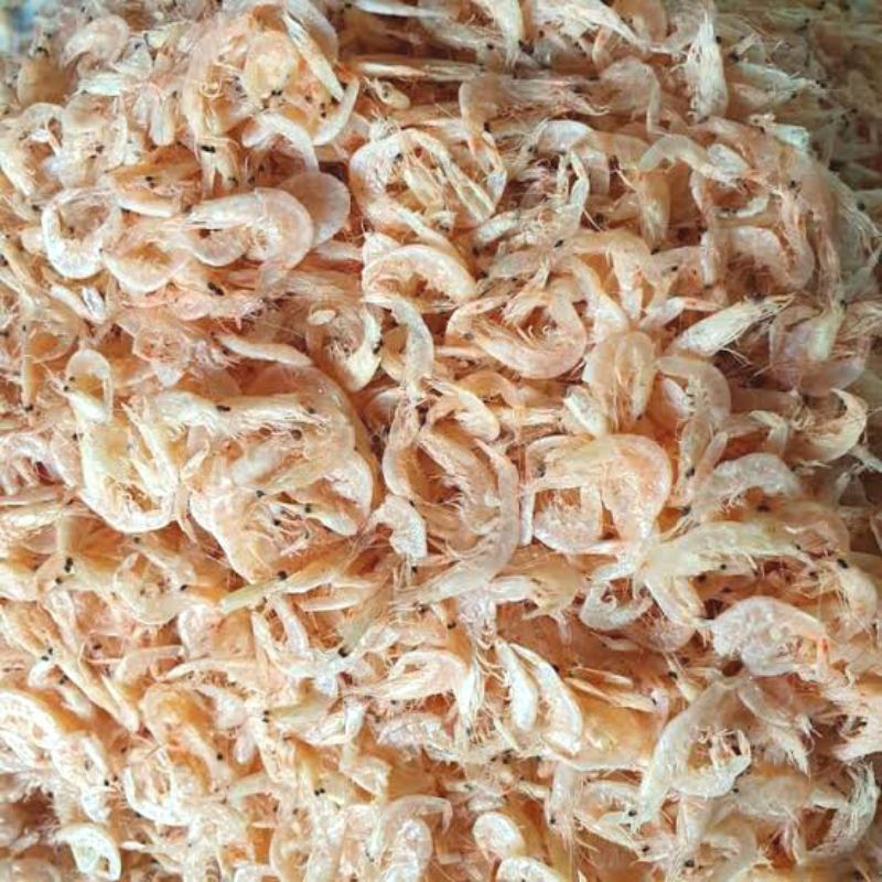 

REBON/EBI/UDANG ASIN KECIL KERING 100GR