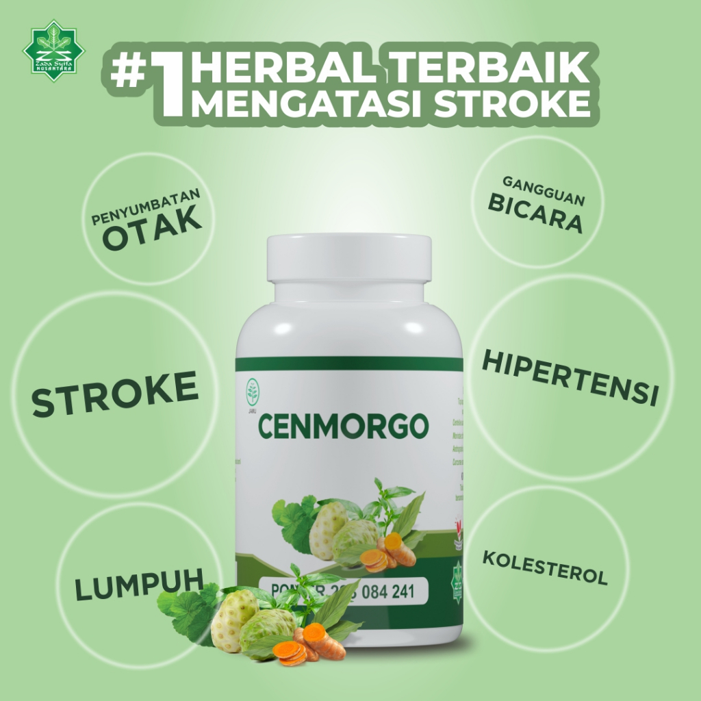 Cenmorgo obat Stroke Struk Ringan Berat Paling Ampuh, Lumpuh Menahun Sebelah Kiri / Kanan