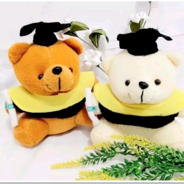 boneka lucu/boneka beruang wisuda/boneka beruang mini/boneka lucu