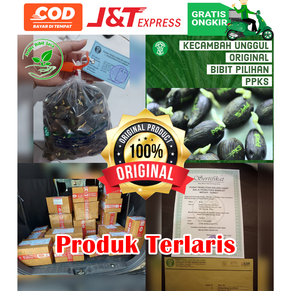 PPKS DxP 540 UNGGUL DAPAT SERTIFIKAT