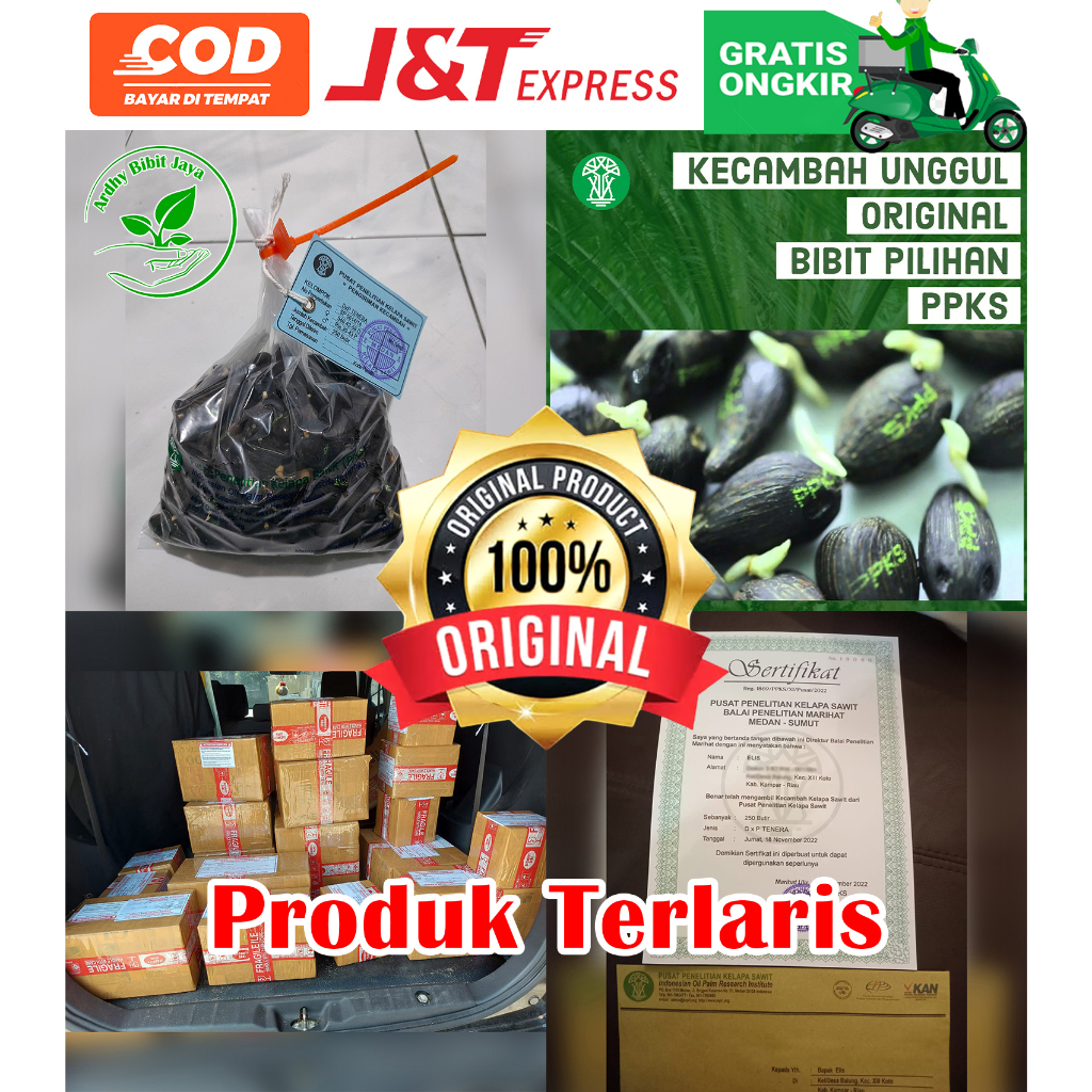 PPKS TENERA UNGGUL DAPAT SERTIFIKAT