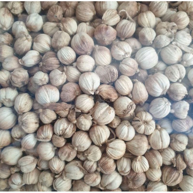 

Kapulaga Kering Asli isi 300gram