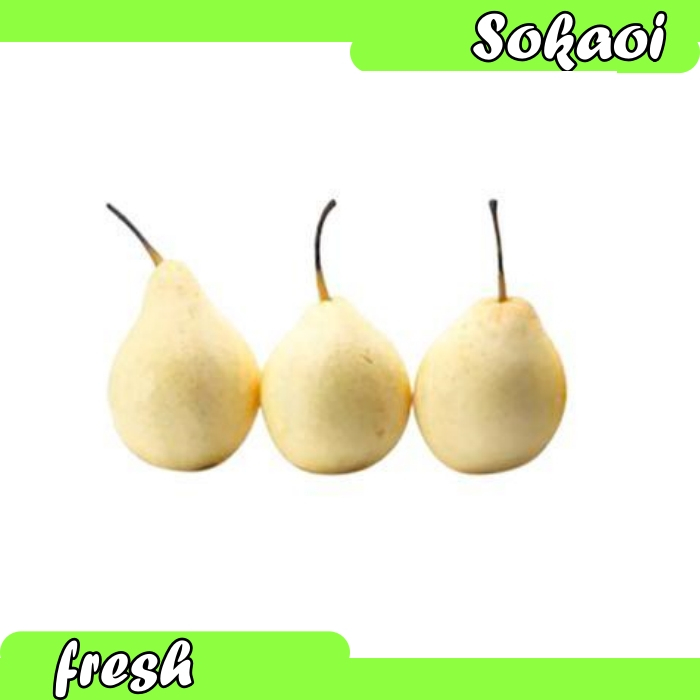 

BUAH PIR PEAR CENTURY FRESH SEGAR