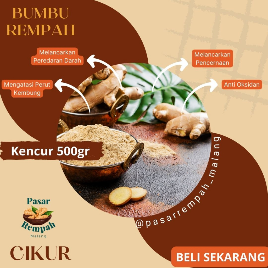 

Kencur Segar 500gr | Cikur