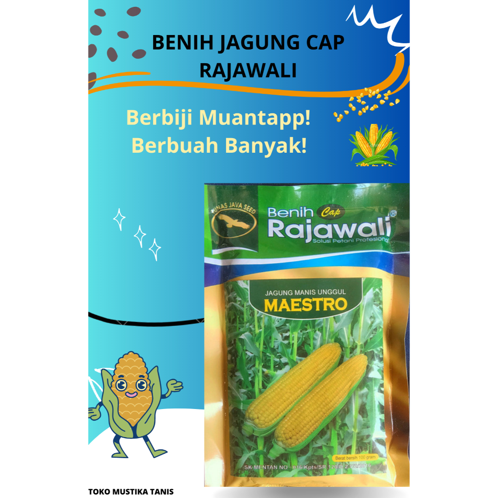 

Benih Jagung Manis Unggul Maestro Cap Rajawali 100 gr