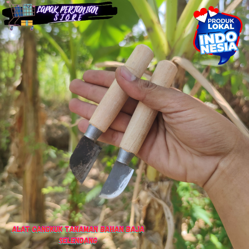 Pisau Cangkok Tanaman Pohon Bahan Gergaji Selendang - Grafting Cangkok Okulasi Ukir Buah Knife Fruit