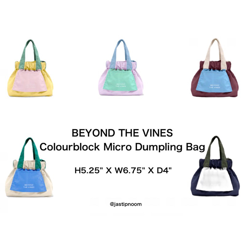 BEYOND THE VINES BTV Colourblock Micro Dumpling Bag