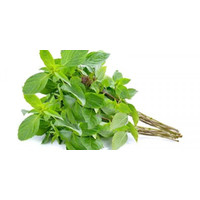 

Daun kemangi