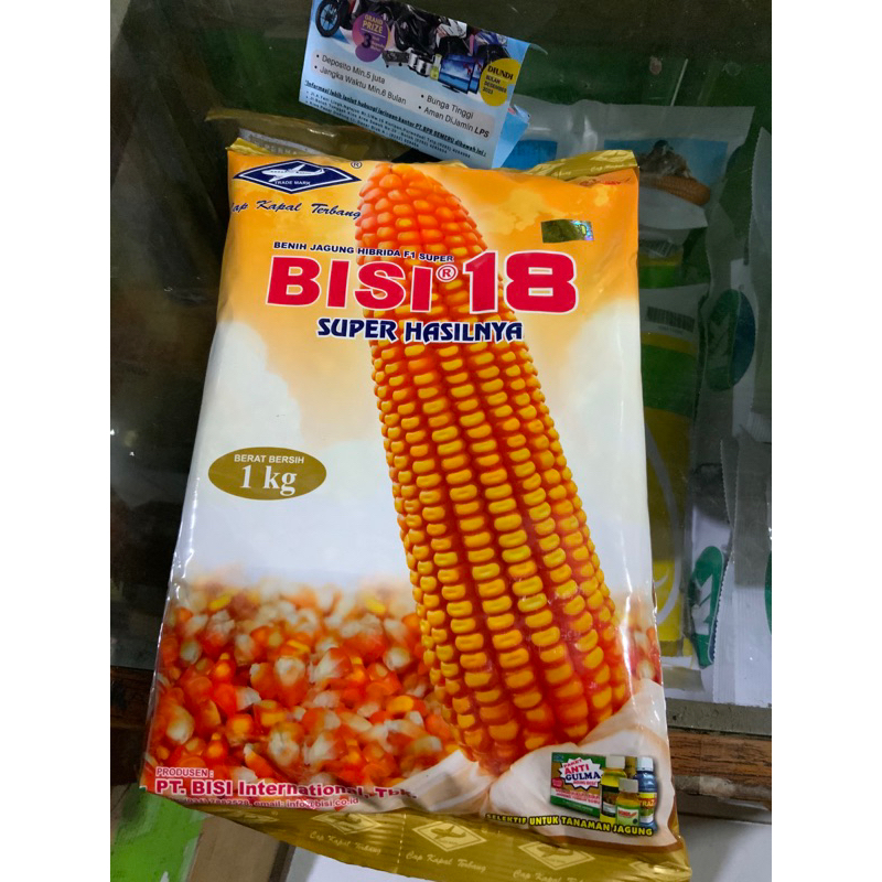 Bisi 18