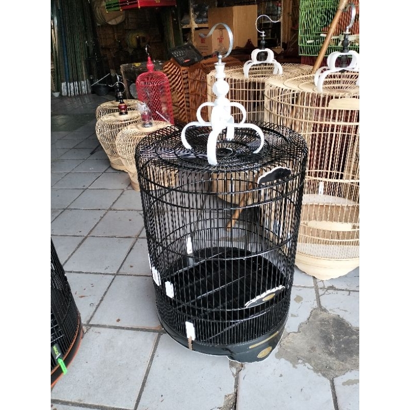 SANGKAR KANDANG MURAI RAFI LIS AKRILIK NO.1