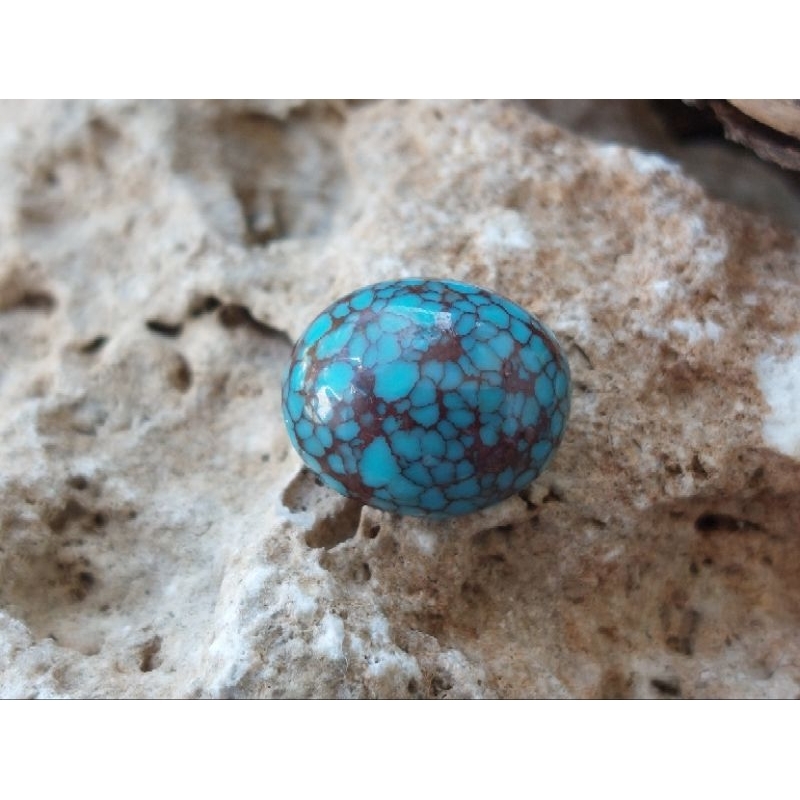 Turquoise/Pirus asli Mesir TLMB001