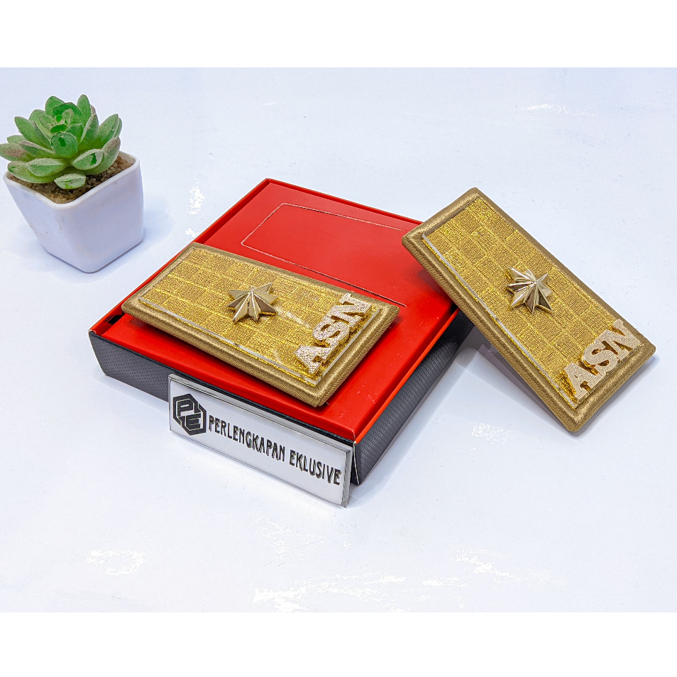 PANGKAT ASN SUMSEL 4C - PANGKAT SUMSEL 3C - PANGKAT ASN 4C - PANGKAT ASN GOLONGAN 4C - PANGKAT ASN S