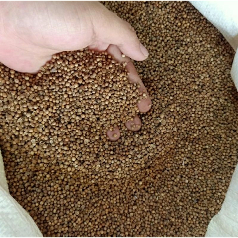 

Ketumbar Hitam Ketumbar Organik. Asli Bebas Pemutih. Kualitas Premium.