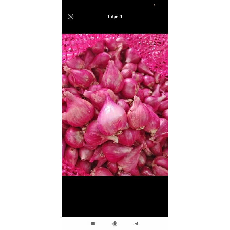 

Bawang merah brebes ukuran sedang rata 1 kg