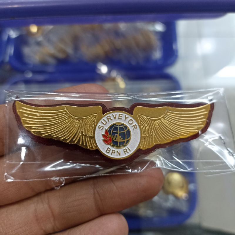 Pin SURVEYOR BPN RI | Wing BPN RI